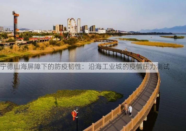 宁德山海屏障下的防疫韧性：沿海工业城的疫情压力测试