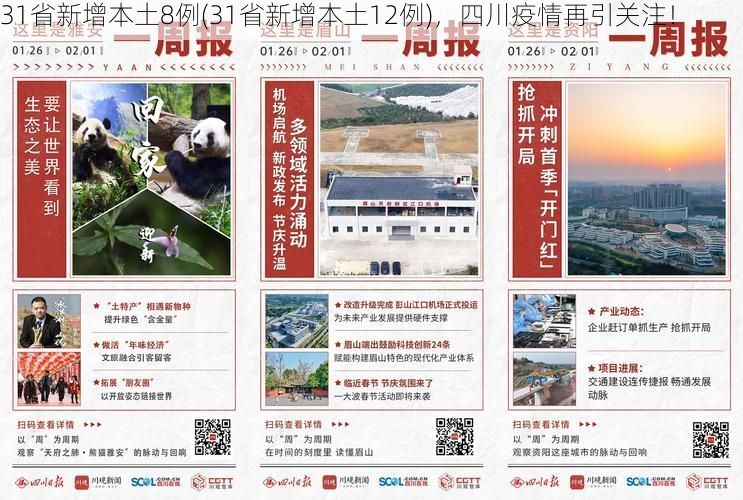 31省新增本土8例(31省新增本土12例)，四川疫情再引关注！