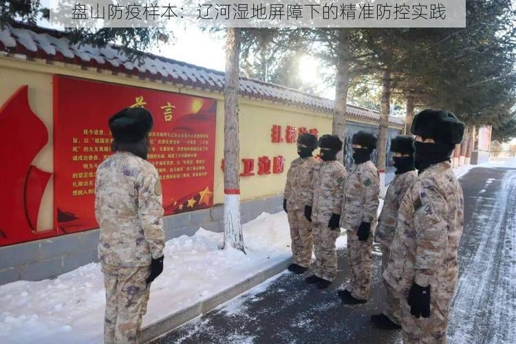 盘山防疫样本:辽河湿地屏障下的精准防控实践