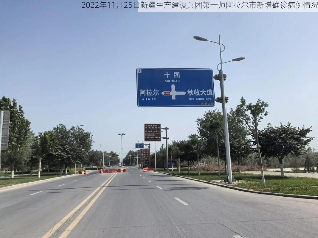2022年11月25日新疆生产建设兵团第一师阿拉尔市新增确诊病例情况