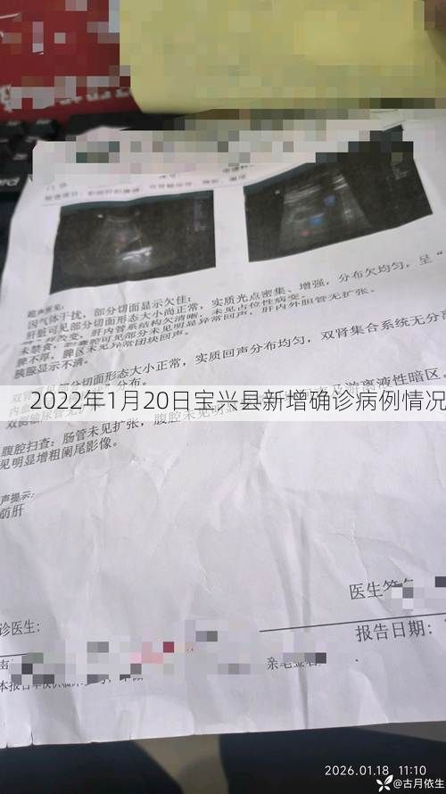 2022年1月20日宝兴县新增确诊病例情况