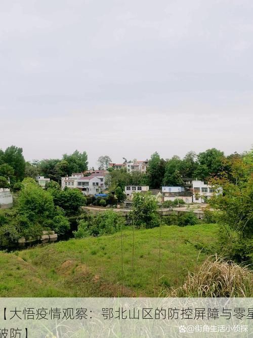 2026年3月 第36页