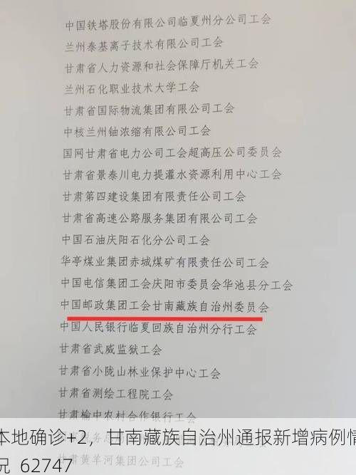 本地确诊+2，甘南藏族自治州通报新增病例情况_62747