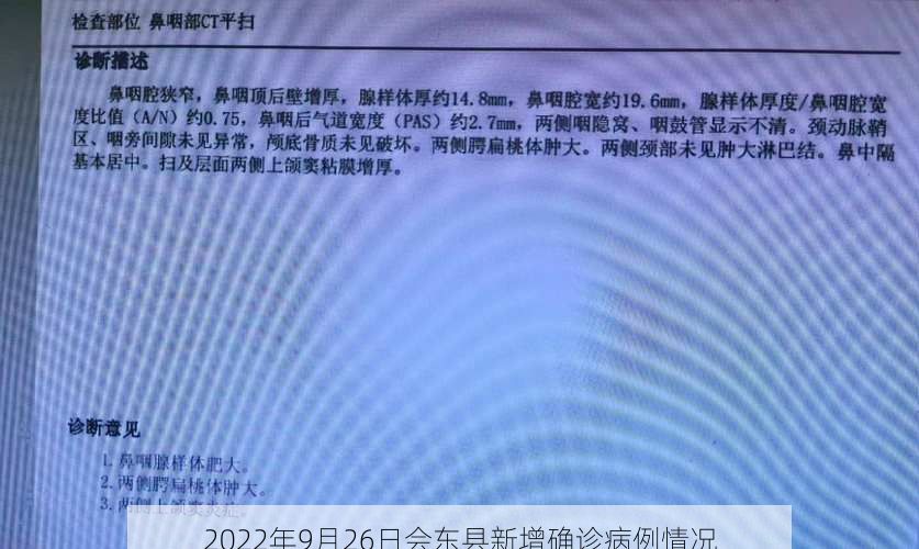 2022年9月26日会东县新增确诊病例情况