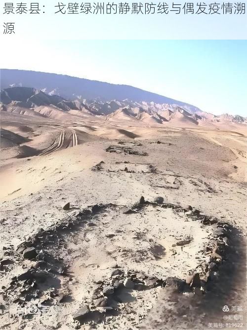 景泰縣：戈壁綠洲的靜默防線與偶發(fā)疫情溯源