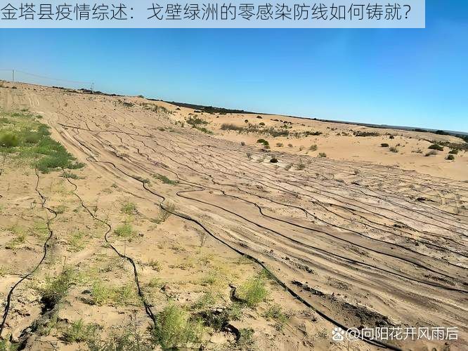 金塔县疫情综述:戈壁绿洲的零感染防线如何铸就?