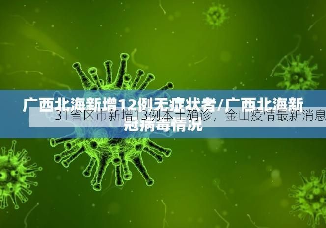 31省区市新增13例本土确诊，金山疫情最新消息