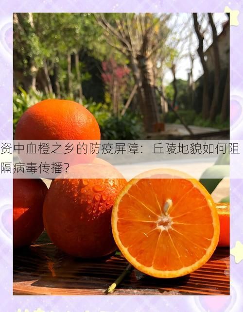 资中血橙之乡的防疫屏障：丘陵地貌如何阻隔病毒传播？