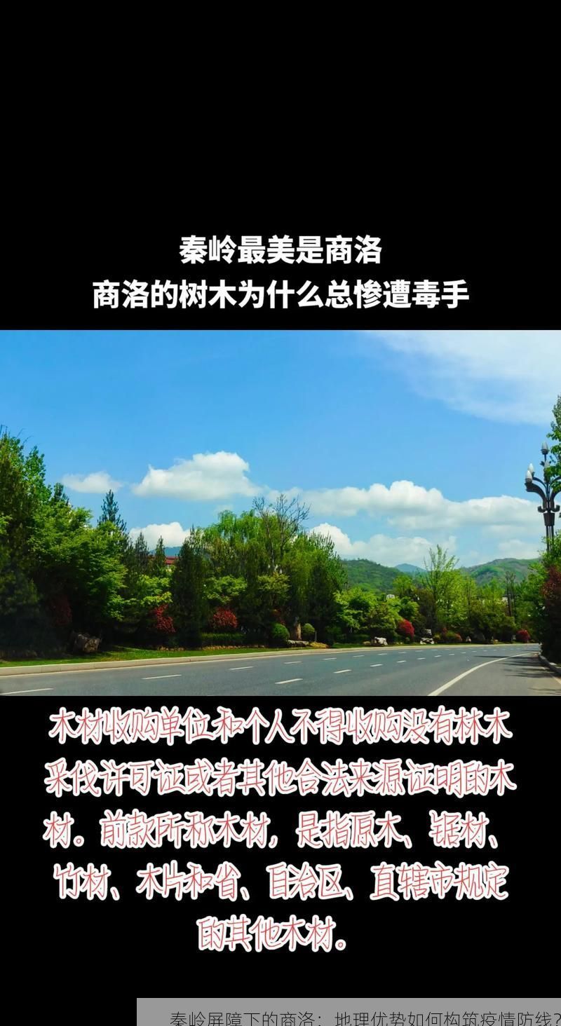 秦岭屏障下的商洛：地理优势如何构筑疫情防线？