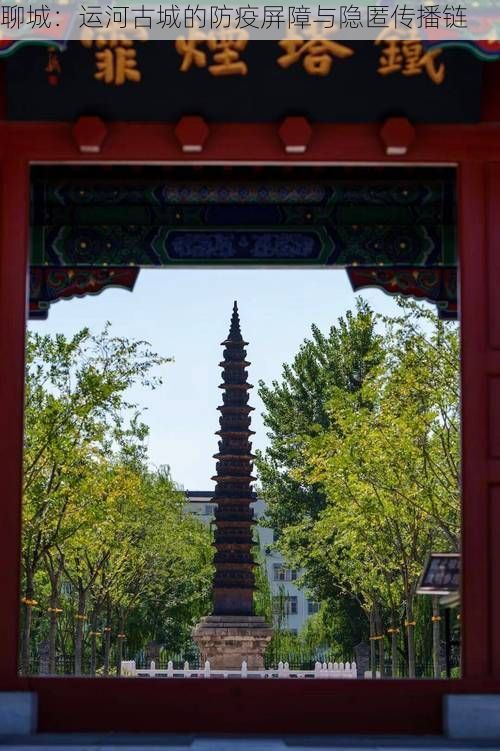 聊城：运河古城的防疫屏障与隐匿传播链