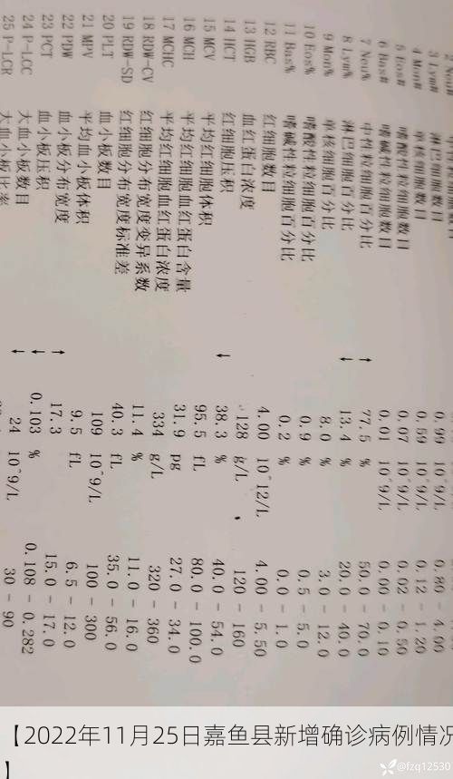 【2022年11月25日嘉鱼县新增确诊病例情况】