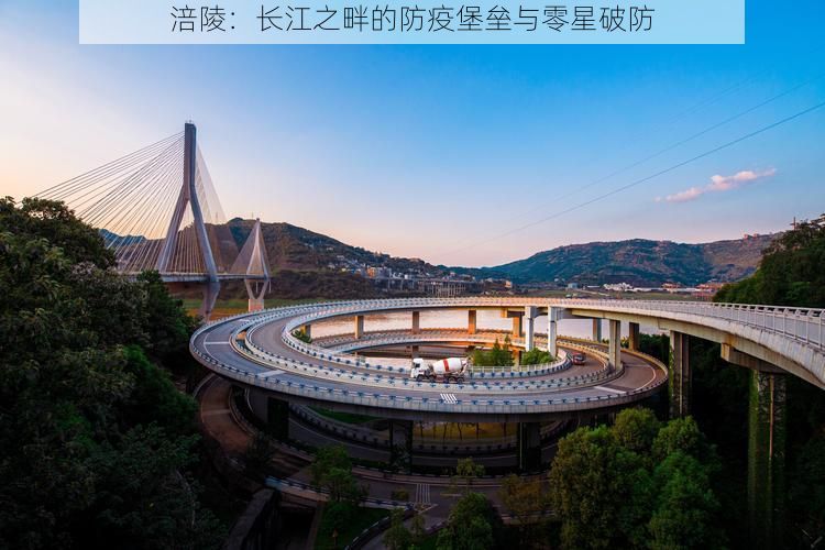 涪陵：长江之畔的防疫堡垒与零星破防