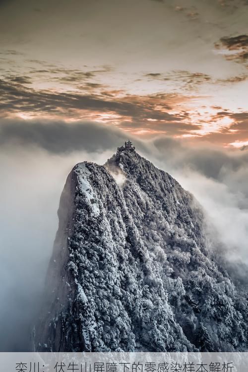 栾川：伏牛山屏障下的零感染样本解析