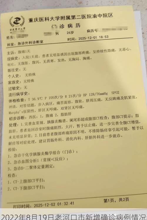 2022年8月19日老河口市新增确诊病例情况