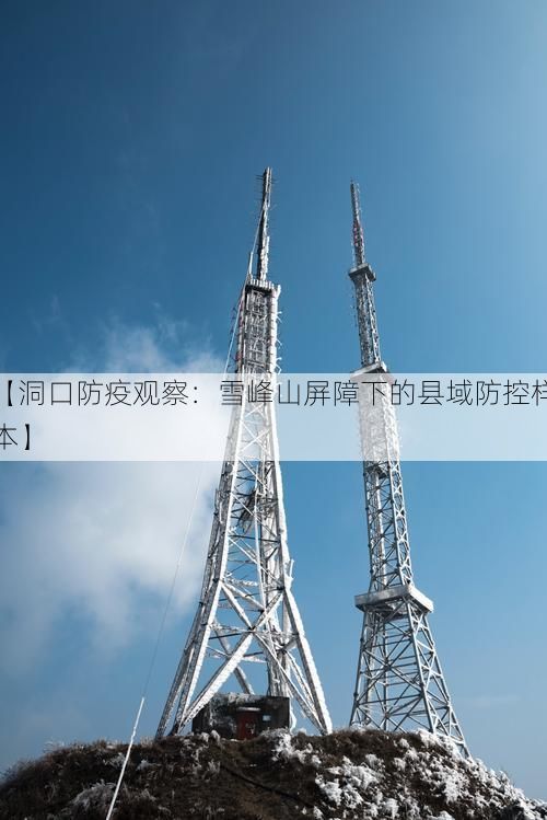 【洞口防疫观察:雪峰山屏障下的县域防控样本】