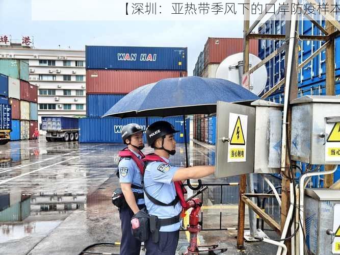 【深圳：亚热带季风下的口岸防疫样本】