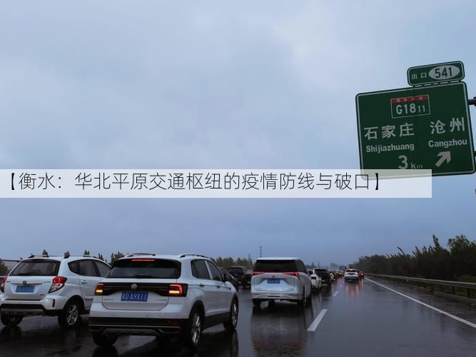 【衡水：华北平原交通枢纽的疫情防线与破口】