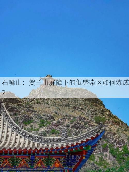 石嘴山：贺兰山屏障下的低感染区如何炼成？