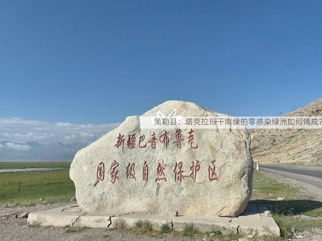 策勒县：塔克拉玛干南缘的零感染绿洲如何铸成？