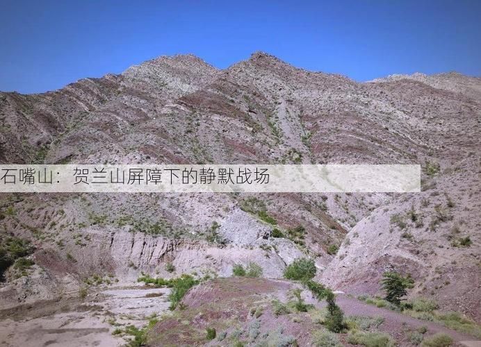 石嘴山：贺兰山屏障下的静默战场