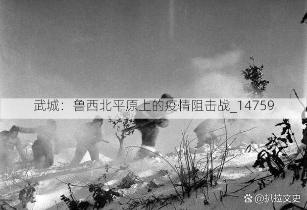 武城：鲁西北平原上的疫情阻击战_14759