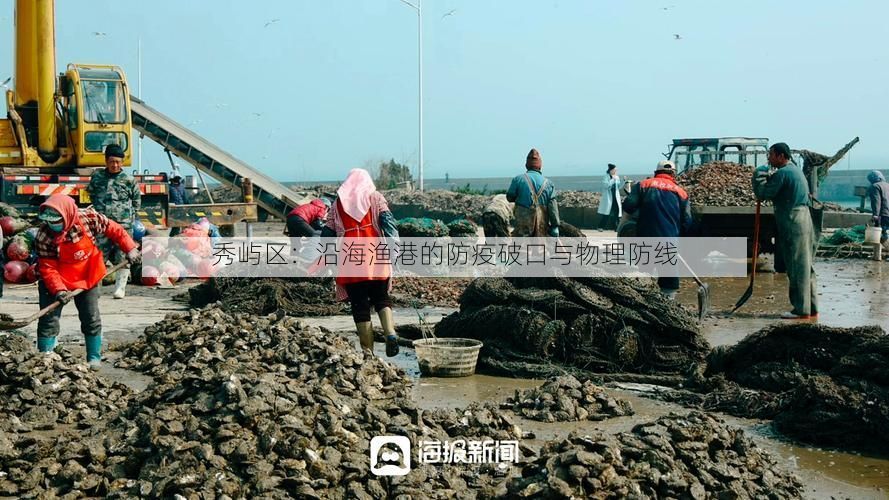 秀屿区：沿海渔港的防疫破口与物理防线