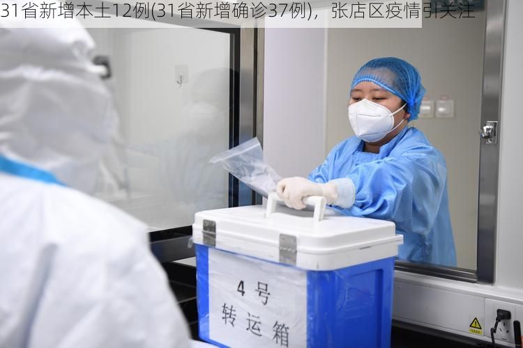 31省新增本土12例(31省新增確診37例)，張店區(qū)疫情引關注