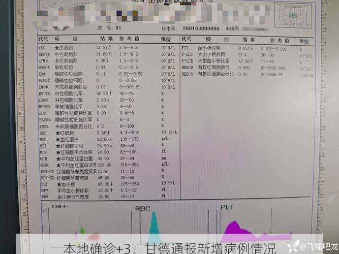 本地确诊+3,甘德通报新增病例情况