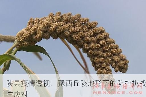 陕县疫情透视：豫西丘陵地形下的防控挑战与应对