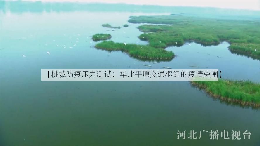 【桃城防疫压力测试：华北平原交通枢纽的疫情突围】
