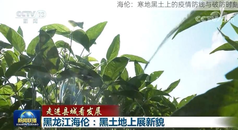 海伦:寒地黑土上的疫情防线与破防时刻