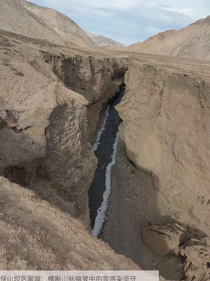 保山坝区屏障：横断山脉褶皱中的零感染坚守