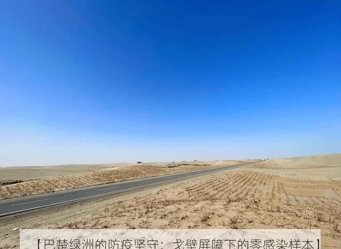 【巴楚绿洲的防疫坚守：戈壁屏障下的零感染样本】