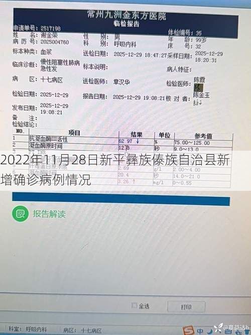 2022年11月28日新平彝族傣族自治县新增确诊病例情况