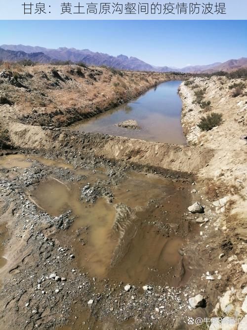 甘泉：黄土高原沟壑间的疫情防波堤