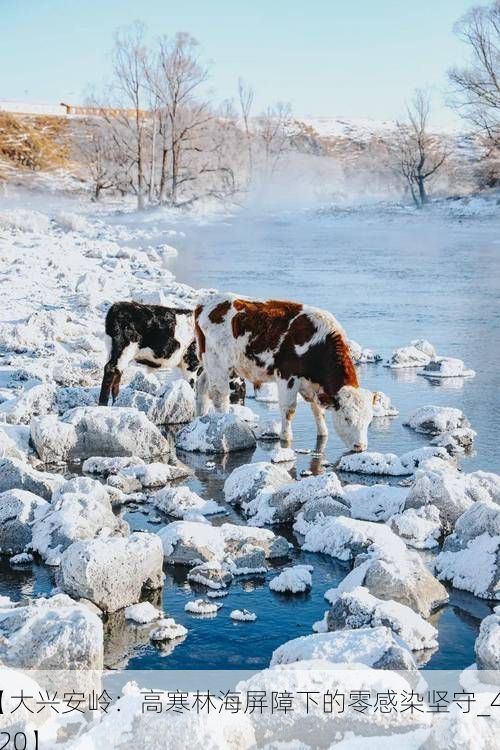 【大兴安岭：高寒林海屏障下的零感染坚守_43920】