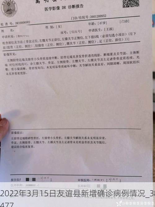 2022年3月15日友谊县新增确诊病例情况_38477