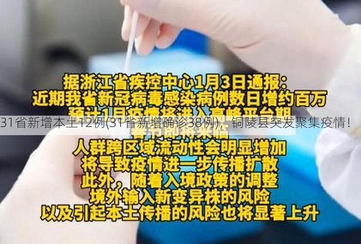 31省新增本土12例(31省新增确诊38例)，铜陵县突发聚集疫情！