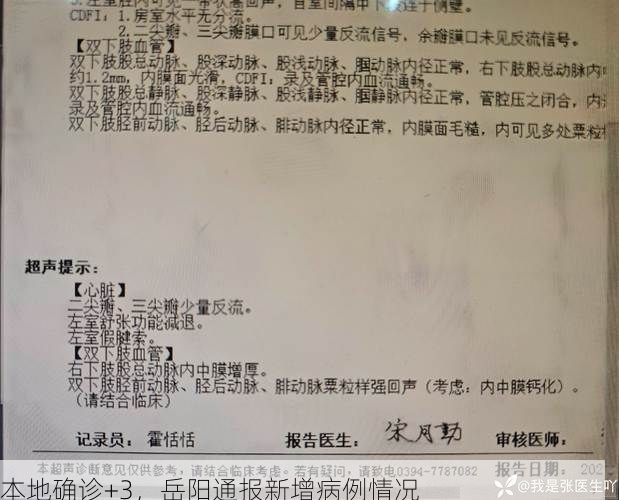 本地确诊+3，岳阳通报新增病例情况