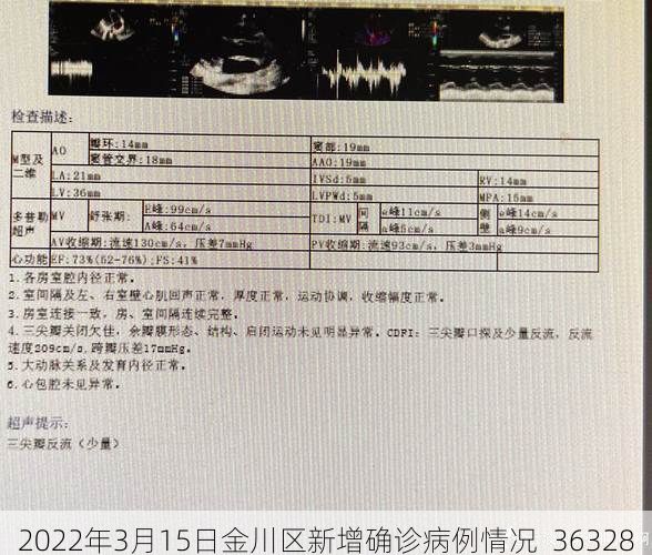 2022年3月15日金川区新增确诊病例情况_36328
