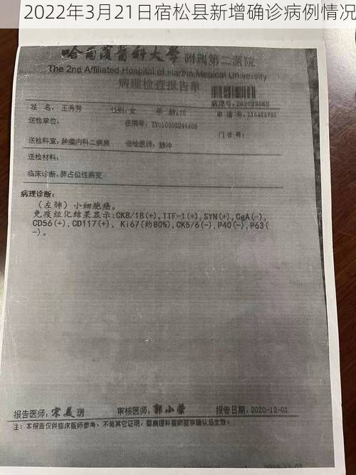 2022年3月21日宿松县新增确诊病例情况