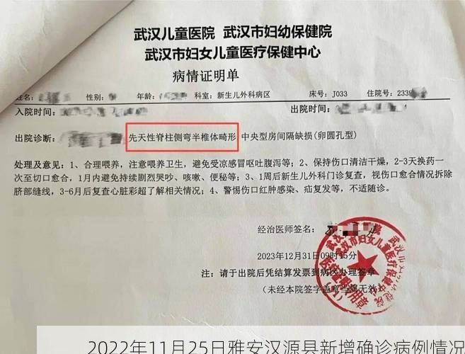 2022年11月25日雅安汉源县新增确诊病例情况