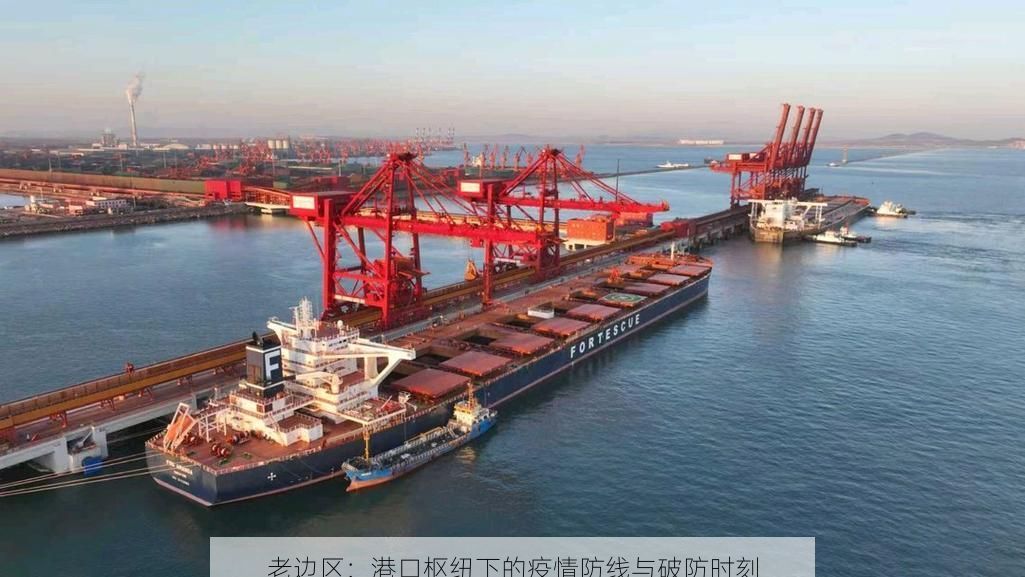 老边区：港口枢纽下的疫情防线与破防时刻