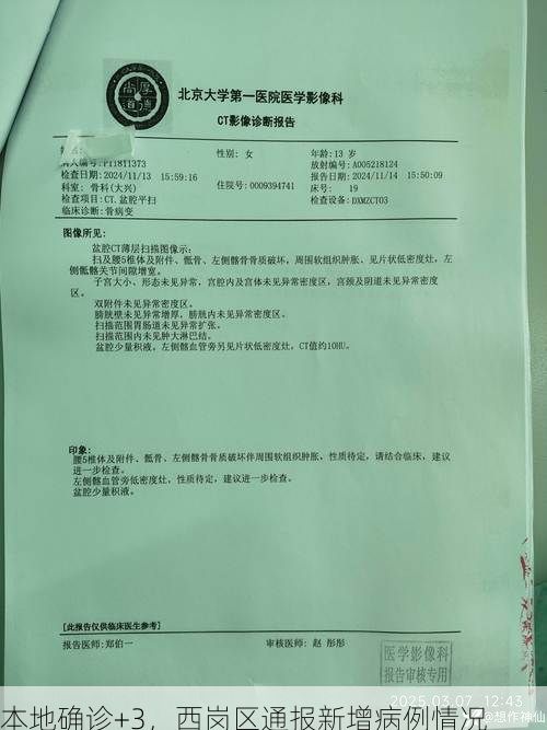 本地确诊+3，西岗区通报新增病例情况