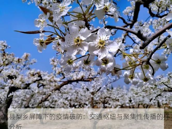 赵县梨乡屏障下的疫情破防：交通枢纽与聚集性传播的样本分析