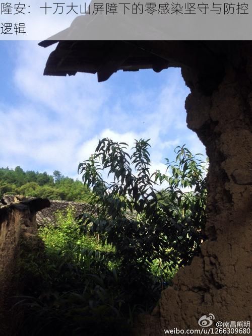 隆安:十万大山屏障下的零感染坚守与防控逻辑