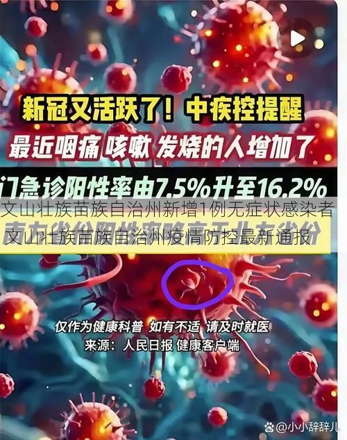 文山壮族苗族自治州新增1例无症状感染者  文山壮族苗族自治州疫情防控最新通报