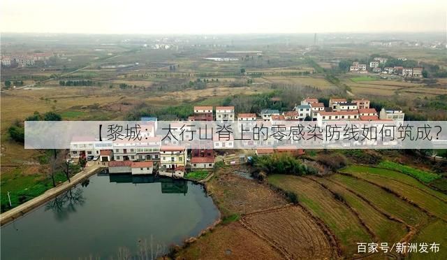 【黎城：太行山脊上的零感染防线如何筑成？】