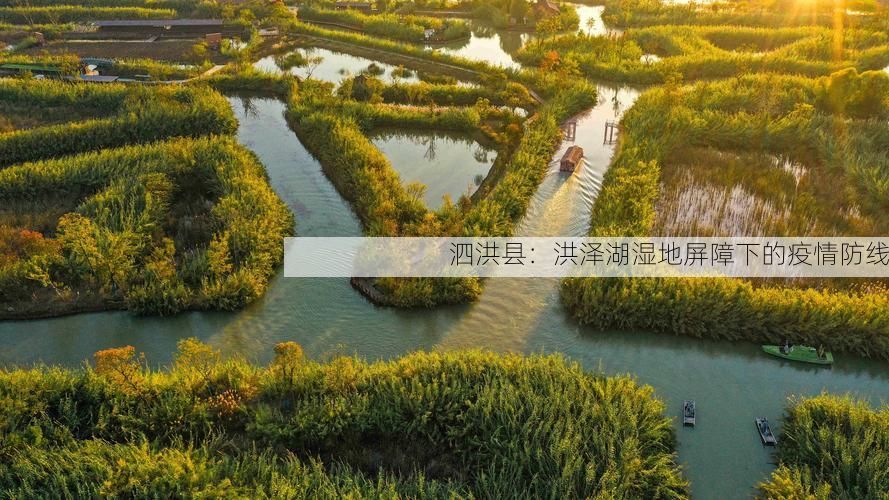 泗洪县：洪泽湖湿地屏障下的疫情防线