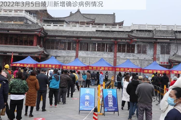 2022年3月5日陵川新增确诊病例情况